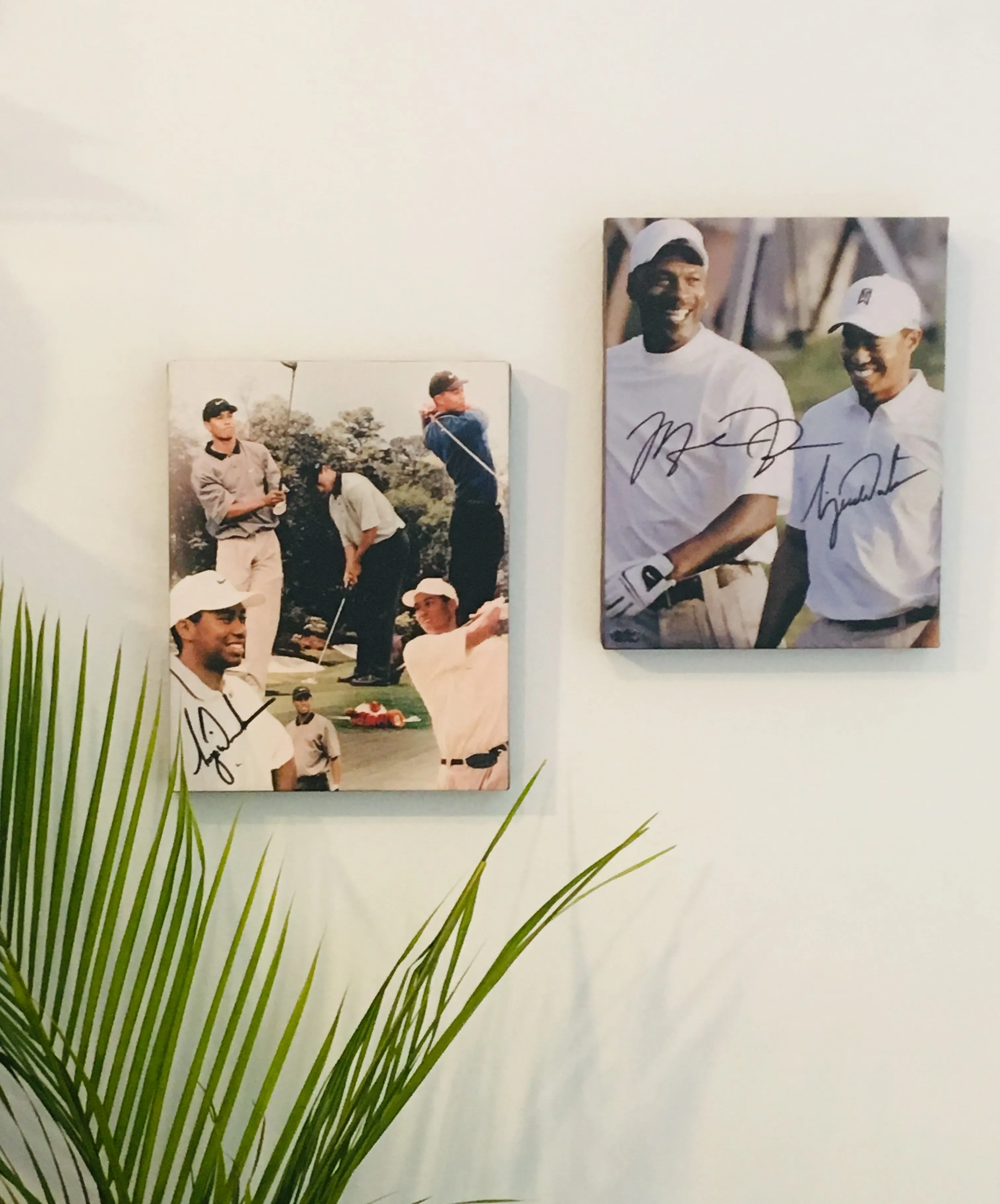 Tiger Woods Facsimile Autograph 11x14 Canvas Print Wall Art