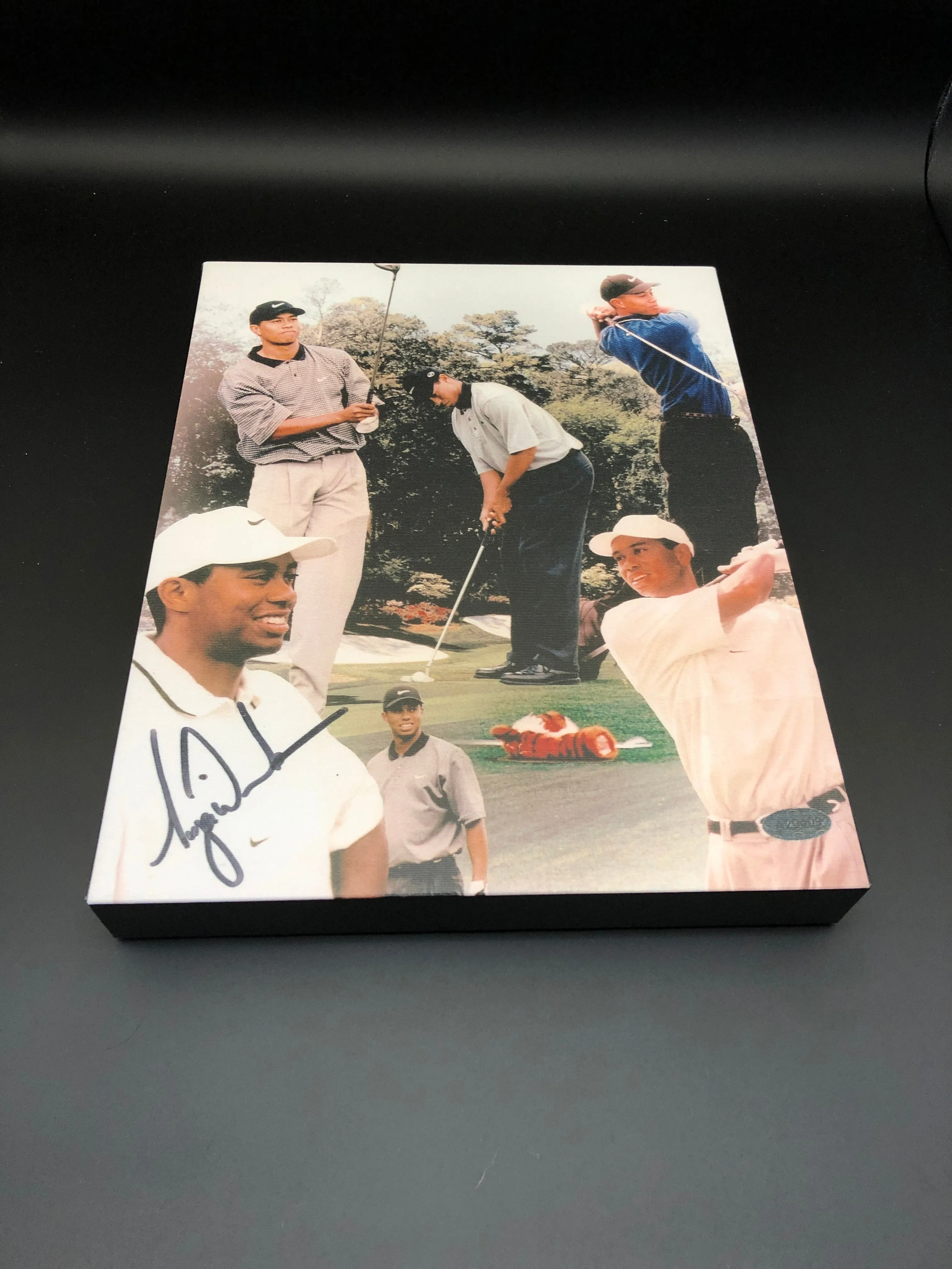Tiger Woods Facsimile Autograph 11x14 Canvas Print Wall Art