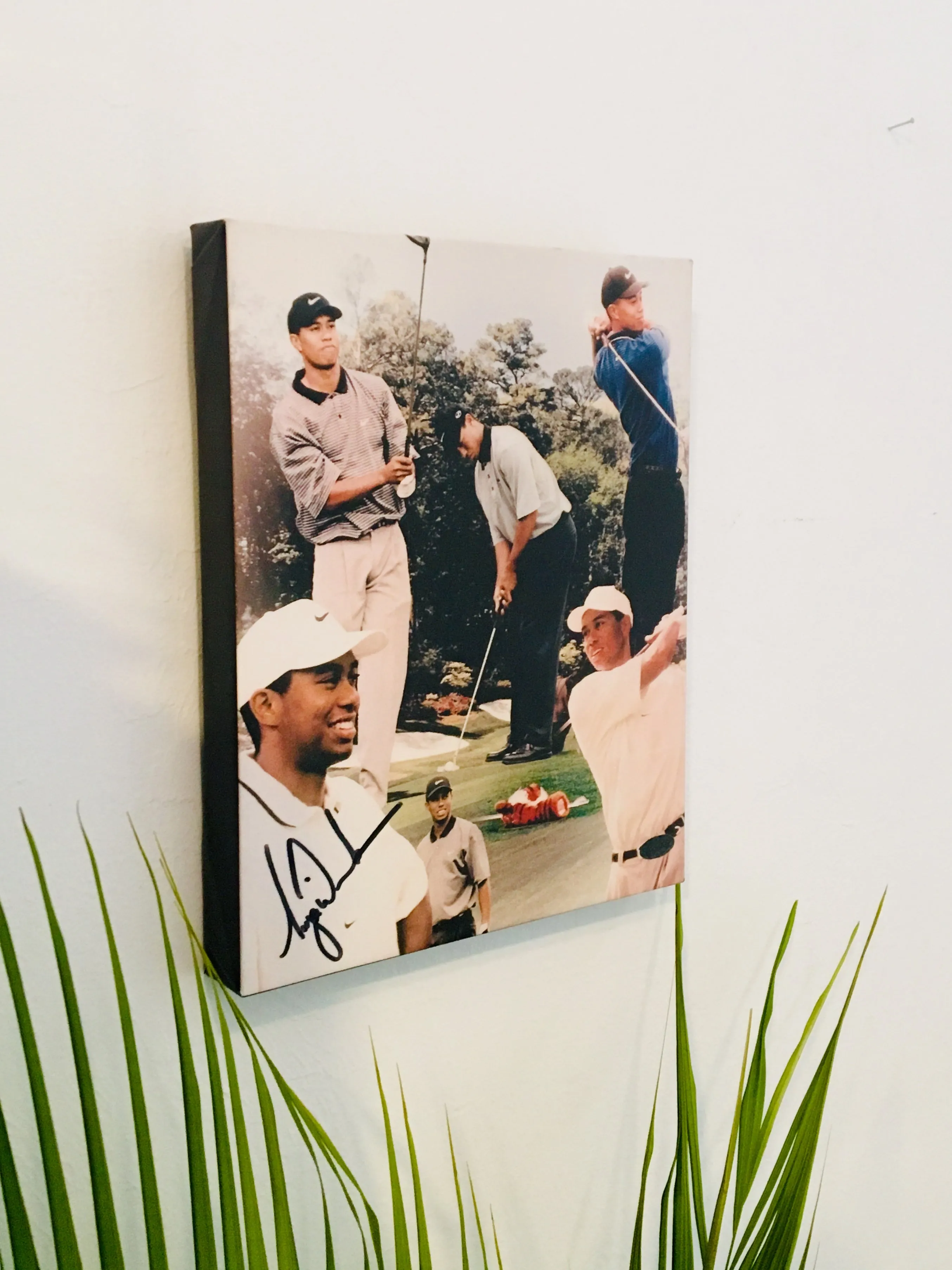 Tiger Woods Facsimile Autograph 11x14 Canvas Print Wall Art