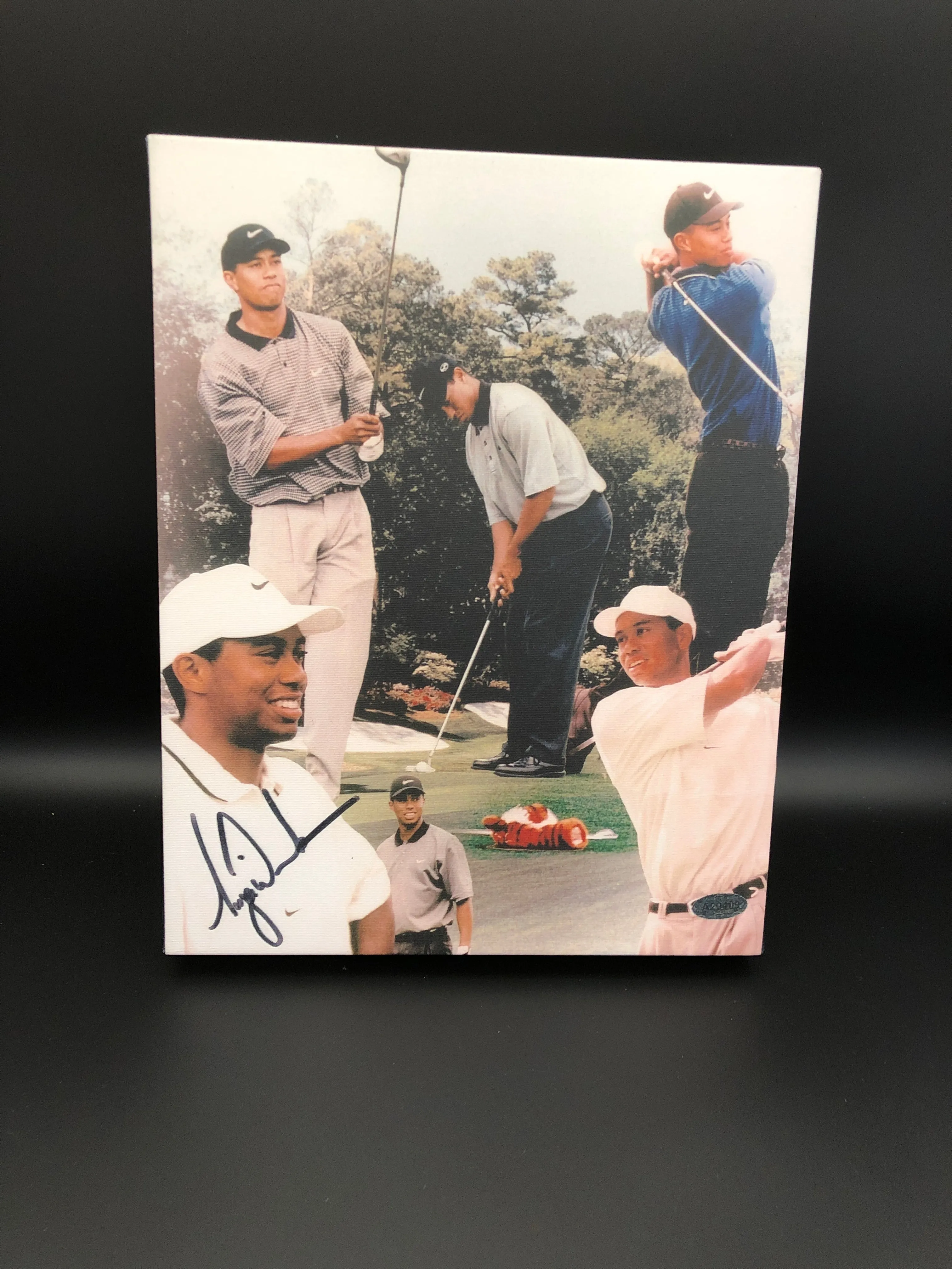 Tiger Woods Facsimile Autograph 11x14 Canvas Print Wall Art