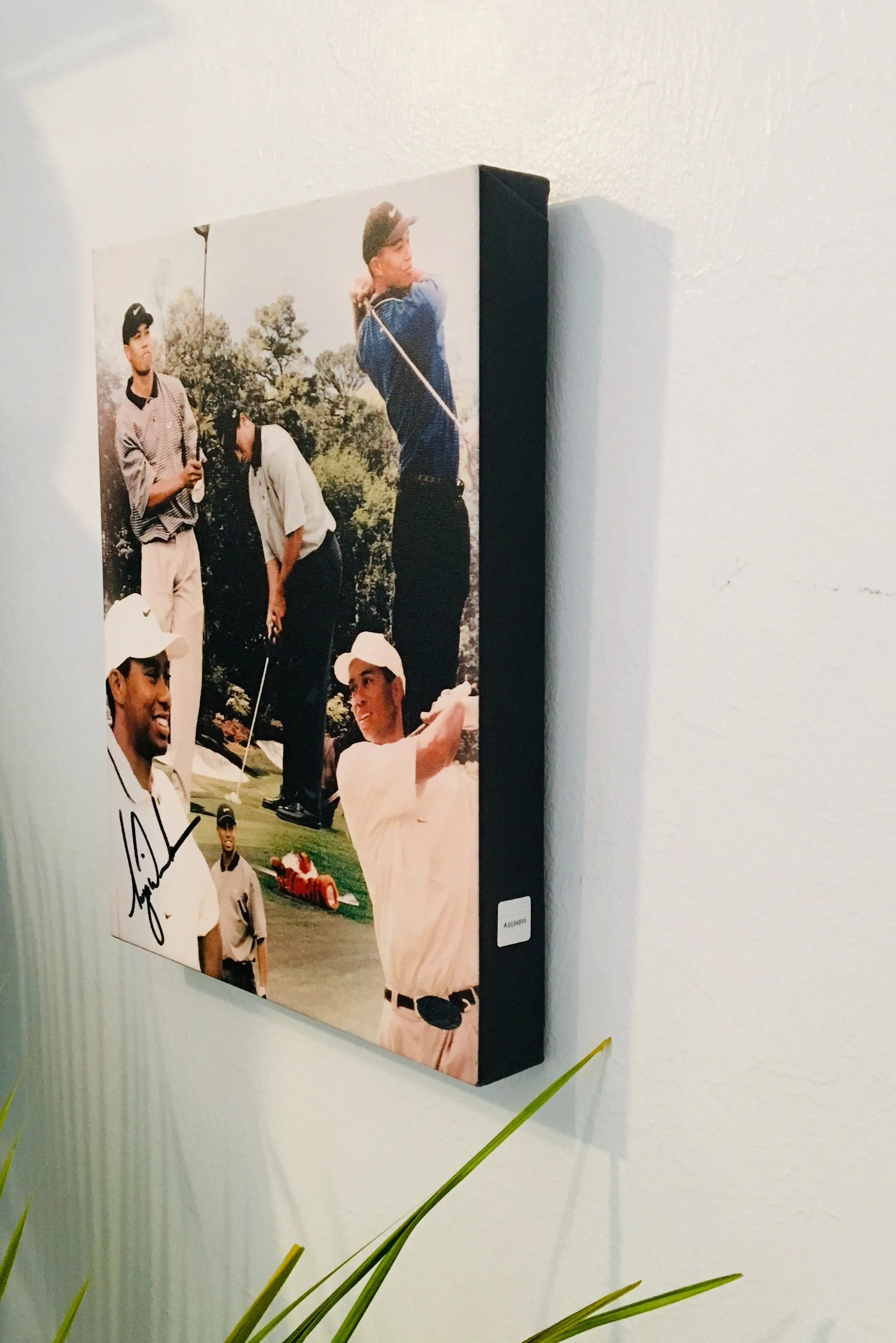 Tiger Woods Facsimile Autograph 11x14 Canvas Print Wall Art
